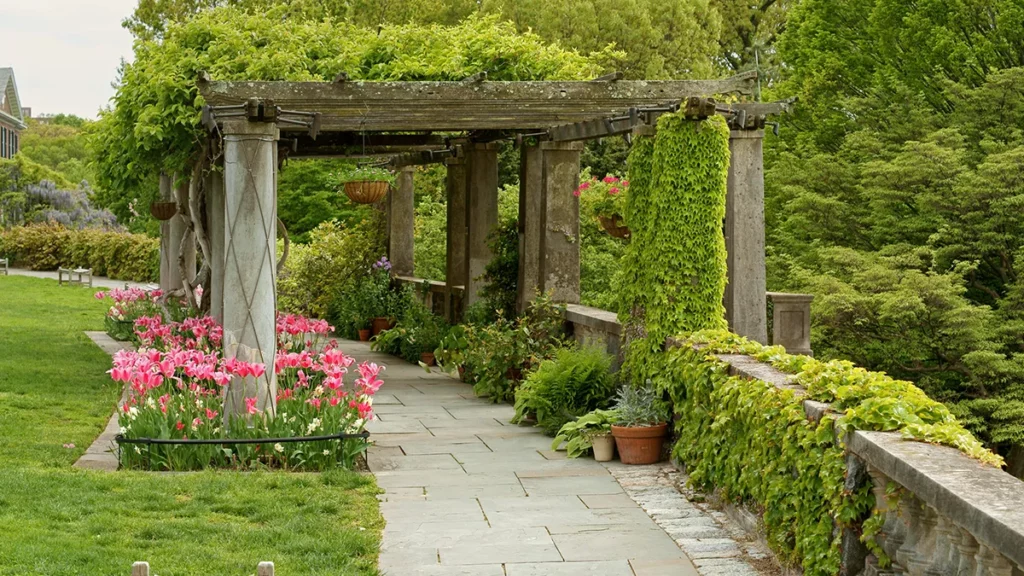 Overgrown Pergola in spring. Wave Hill in Hudson Hill section of Riverdale in Bronx, New York City