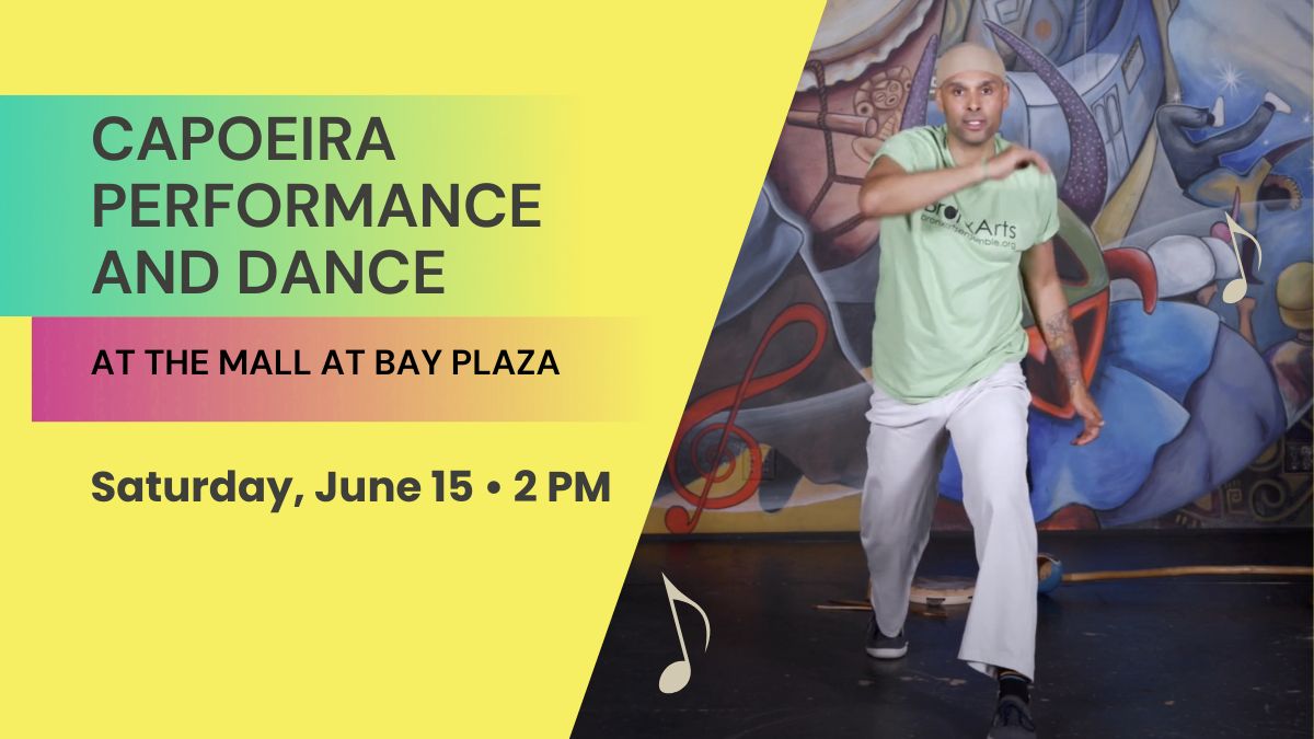 Capoeira Peformance and Dance at The Mall At Bay Plaza